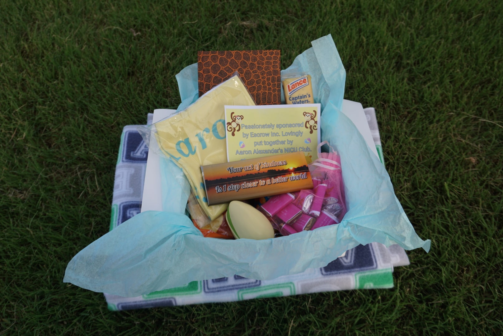 Complete baby care package arranged on the grass